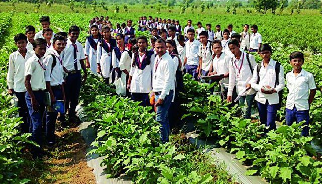 Vegetable garden on a rusty farmland | खडकाळ शेतजमिनीवर फुलविली भाजीपाला बाग Vegetable garden on a rusty farmland | खडकाळ शेतजमिनीवर फुलविली भाजीपाला बाग