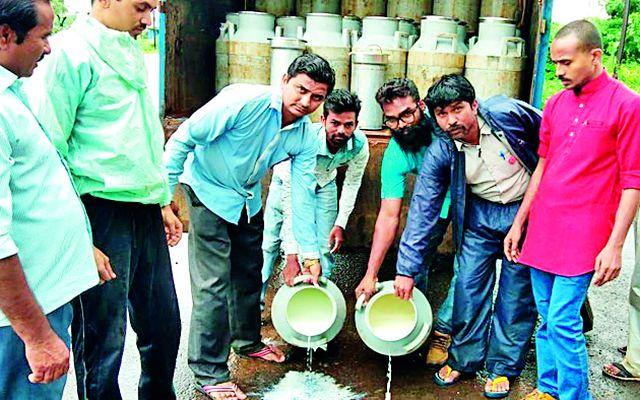 'Swabhimani' milk on the paved street | ‘स्वाभिमानी’नी ओतले रस्त्यावर दूध