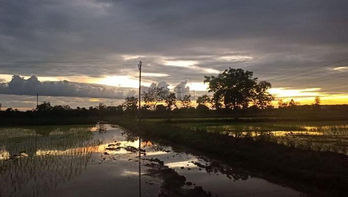 No rain; Dry day for next three days in some districts including Nagpur | पावसाने मारली दडी; नागपूरसह काही जिल्ह्यात पुढचे तीन दिवस ‘ड्राय डे’ No rain; Dry day for next three days in some districts including Nagpur | पावसाने मारली दडी; नागपूरसह काही जिल्ह्यात पुढचे तीन दिवस ‘ड्राय डे’