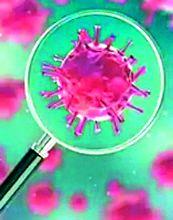 28,000 tests negative | २८ हजारांवर चाचण्या निगेटिव्ह 28,000 tests negative | २८ हजारांवर चाचण्या निगेटिव्ह