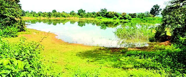 Work for second time in Jalayukta Shivar Yojana | जलयुक्त शिवार योजनेत दुसऱ्यांदा कामे