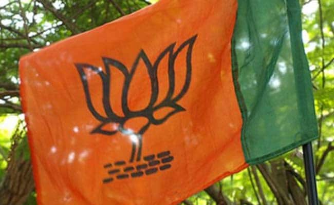 BJP's flag to be hoisted on 13 Gram Panchayats: Nasir Qazi | तेराही ग्रामपंचायतींवर भाजपचा झेंडा फडकविणार : नासीर काझी BJP's flag to be hoisted on 13 Gram Panchayats: Nasir Qazi | तेराही ग्रामपंचायतींवर भाजपचा झेंडा फडकविणार : नासीर काझी