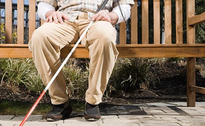 World white saddle, eye sight, inspiration day celebration in Kolhapur | कोल्हापुरात जागतिक पांढरी काठी, दृष्टिदिन, प्रेरणा दिन साजरा