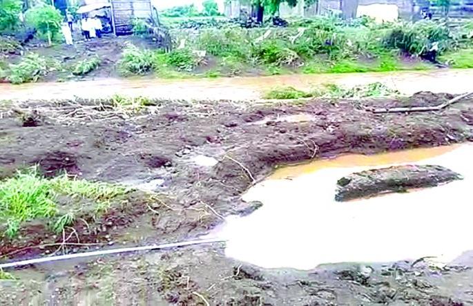 Crops on 14,000 hectares hit due to heavy rains | अतिवृष्टीमुळे १४ हजार हेक्टरवरील पिकांना फटका