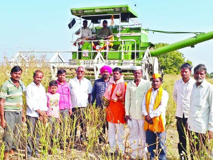 After harvesting wheat, now also harvester machine for harvesting tur | मजूरटंचाईवर मात; गहू अन् उसानंतर आता तूर कापणीलाही हार्वेस्टर मशीन After harvesting wheat, now also harvester machine for harvesting tur | मजूरटंचाईवर मात; गहू अन् उसानंतर आता तूर कापणीलाही हार्वेस्टर मशीन