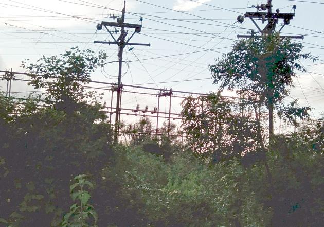 Cable network | वनहद्द व वीज खांबावरुन केबलचे जाळे