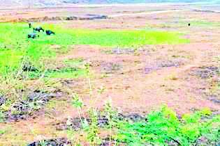 Causing water conservation in rural areas | ग्रामीण भागात जलसंकट उद्भवणार Causing water conservation in rural areas | ग्रामीण भागात जलसंकट उद्भवणार