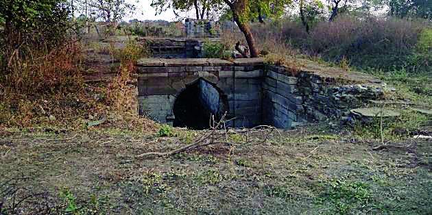 On the way to the destruction of the ancient vines | प्राचीन विहीर नष्ट होण्याच्या मार्गावर On the way to the destruction of the ancient vines | प्राचीन विहीर नष्ट होण्याच्या मार्गावर