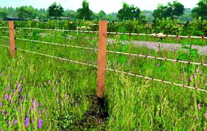 How many victims of Aghori security again? | अघोरी सुरक्षेचे पुन्हा किती बळी ?