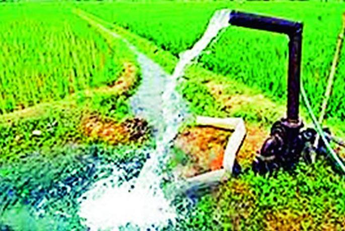 Bare electricity bills of 20 thousand 79 agricultural pump holders | २० हजार ७९ कृषिपंपधारकांचे वीजबिल कोरे