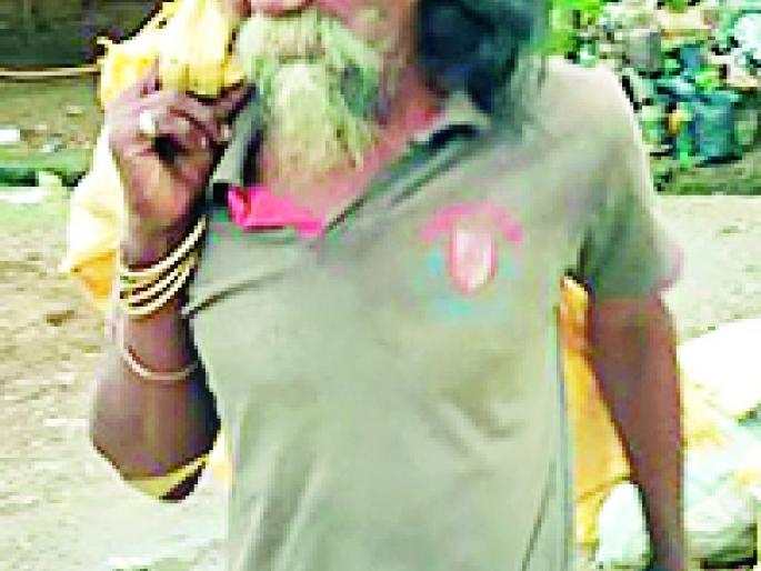 Punjab became a hygiene envoy looking for pigs | उकिरडे शोधणारा पंजाब बनला स्वच्छता दूत Punjab became a hygiene envoy looking for pigs | उकिरडे शोधणारा पंजाब बनला स्वच्छता दूत