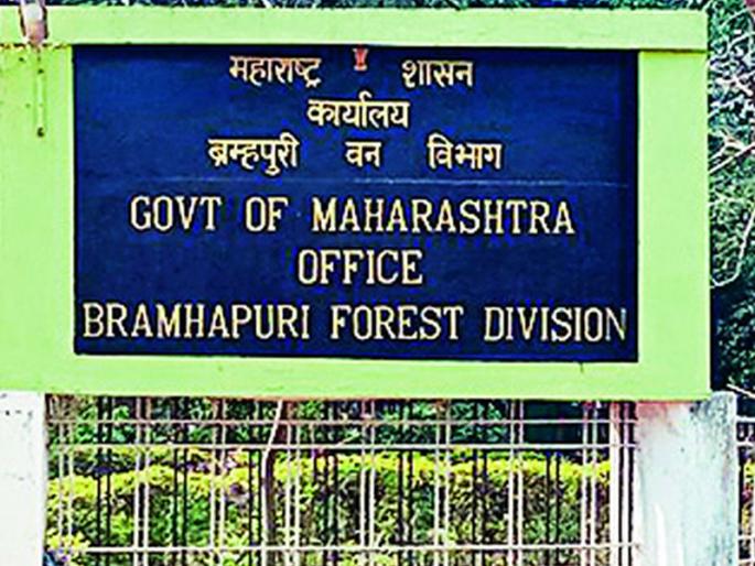 Attempt by Forest Department to suppress the case? | वनविभागाकडून प्रकरण दडपण्याचा प्रयत्न ? Attempt by Forest Department to suppress the case? | वनविभागाकडून प्रकरण दडपण्याचा प्रयत्न ?