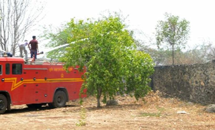 Fire brimble trees, luckily avoided harm | धुळ्यात काटेरी झुडूपांना आग, सुदैवाने हानी टळली