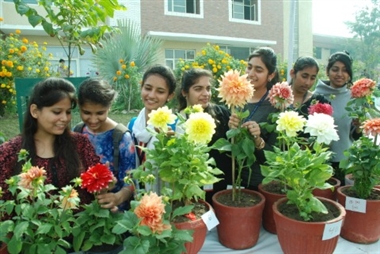   Nashik Municipal Corporation's 'Pushpotsav' will grow again after seven years | नाशिक महापालिकेत सात वर्षांच्या खंडानंतर पुन्हा बहरणार ‘पुष्पोत्सव’