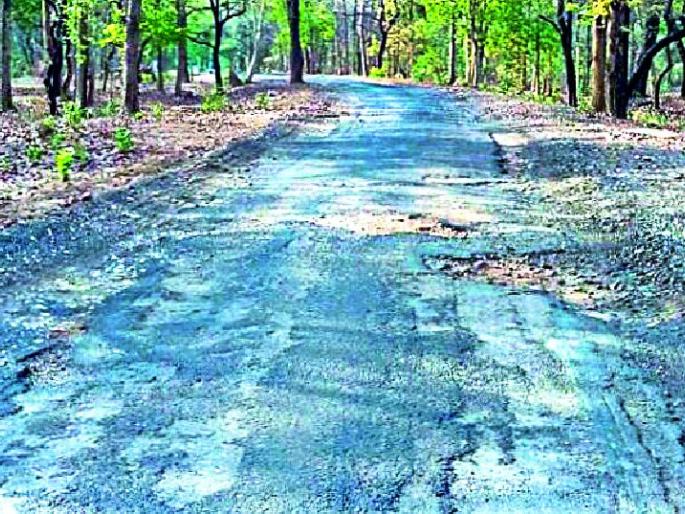 The pavement and the potholes are completely crumbled | रांगी-धानोरा मार्ग पूर्णपणे उखडला