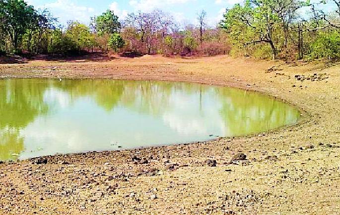 The last element that many pools are counting | अनेक तलाव मोजताहेत शेवटची घटका The last element that many pools are counting | अनेक तलाव मोजताहेत शेवटची घटका