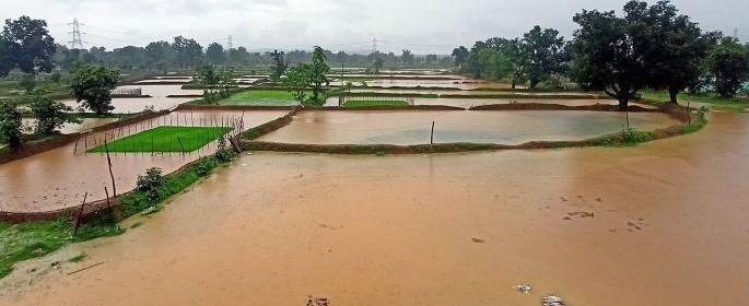 Declare wet drought in Nagpur district; BJP's demand to the government | नागपूर जिल्ह्यात ओला दुष्काळ जाहीर करा; भाजपची सरकारला मागणी Declare wet drought in Nagpur district; BJP's demand to the government | नागपूर जिल्ह्यात ओला दुष्काळ जाहीर करा; भाजपची सरकारला मागणी