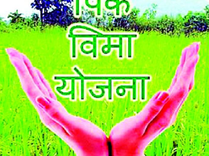 Take advantage of the Crop Insurance Scheme | पीक विमा योजनेचा लाभ घ्या
