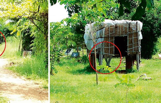 Get 20 rupees in solitude! | २० रुपयांत मिळवा एकांतवास! Get 20 rupees in solitude! | २० रुपयांत मिळवा एकांतवास!