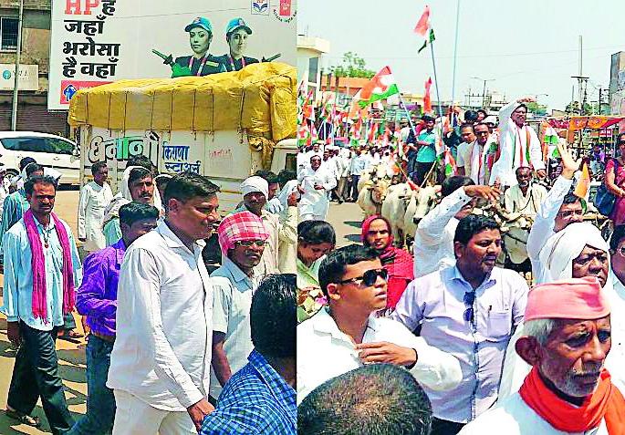 Strike of Bailbandi Morcha of Congress | काँग्रेसच्या बैलबंडी मोर्चाची धडक