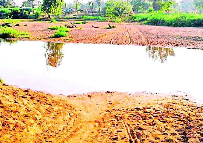 Demand for building a bridge near Panamara | पन्नेमाराजवळ पूल बांधण्याची मागणी