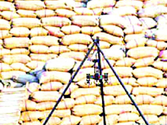 9.89 lakh crores was filled up | ९.८९ लाख क्ंिवटल धानाची भरडाई 9.89 lakh crores was filled up | ९.८९ लाख क्ंिवटल धानाची भरडाई