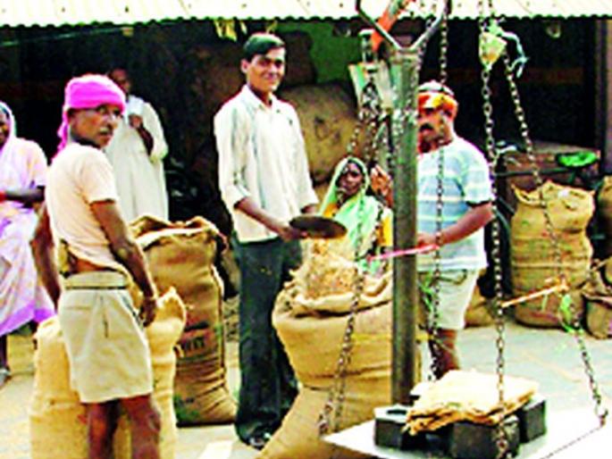 The cultivation of sugarcane is recorded on Satbara is Paddy | लागवड उसाची सातबारावर नोंद धानाची The cultivation of sugarcane is recorded on Satbara is Paddy | लागवड उसाची सातबारावर नोंद धानाची