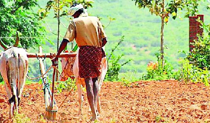 Crop loan allocation to 18 thousand farmers | १८ हजार शेतकऱ्यांना पीक कर्जाचे वाटप