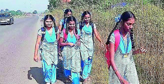 You tell me! Study or pipe up for verification? | तुम्हीच सांगा! अभ्यास करायचा की पडताळणीसाठी पायपीट करायची?