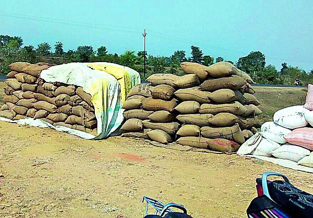 Farmers' rights | बारदान्याचा फटका शेतकऱ्यांच्या माथी Farmers' rights | बारदान्याचा फटका शेतकऱ्यांच्या माथी