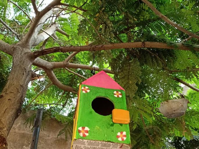 Food, water for birds | पक्ष्यांसाठी अन्न,पाण्याची सोय