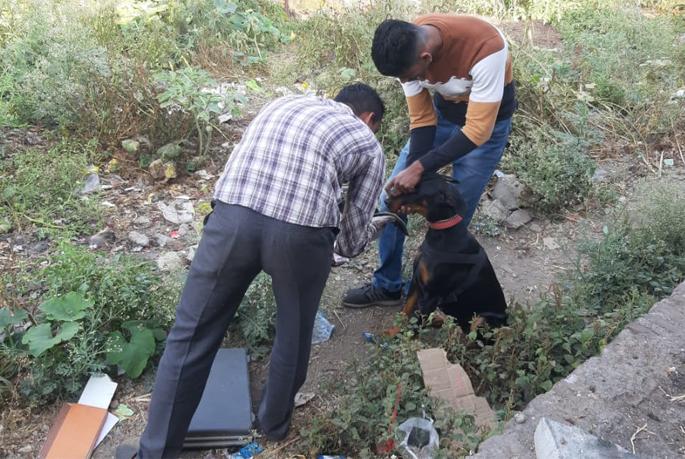 Three houses were razed, cash lined with jewelry | तीन घरे फोडली, दागिन्यांसह रोकड लंपास