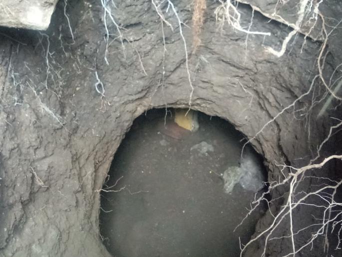 A big pit fell suddenly in front of the house | घरासमोर अचानक पडला मोठा खड्डा A big pit fell suddenly in front of the house | घरासमोर अचानक पडला मोठा खड्डा