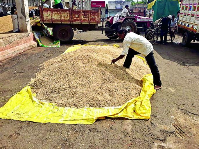 Rains reduced soybean arrivals in Khamgaon APMC | पावसामुळे सोयाबिनची आवक घटली  Rains reduced soybean arrivals in Khamgaon APMC | पावसामुळे सोयाबिनची आवक घटली