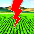 With the hike of power, the farmers will be forced to break down | वीज दरवाढीने शेतकऱ्यांचे कंबरडे मोडणार With the hike of power, the farmers will be forced to break down | वीज दरवाढीने शेतकऱ्यांचे कंबरडे मोडणार