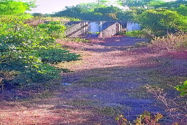  Kharif floods in Hartale area, hope for rabbi rises | हरताळे परिसरात खरीप बुडाला, रब्बीची आशा मावळली