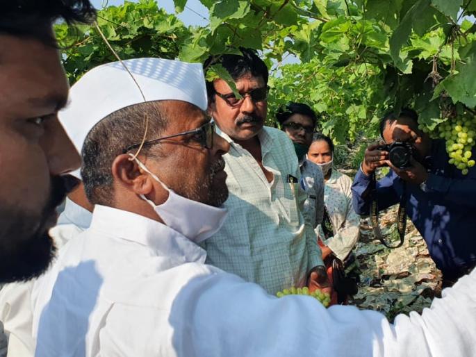 The unseasonal rains broke the economic backbone | अवकाळी पावसाने मोडला अर्थिक कणा The unseasonal rains broke the economic backbone | अवकाळी पावसाने मोडला अर्थिक कणा