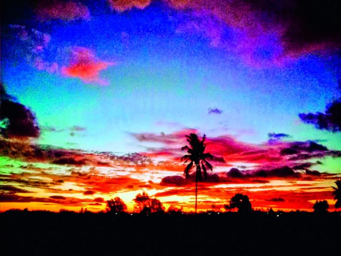 farmers worried condition due to no rain in Pune district | पुणे जिल्ह्यात पावसाची दडी; बळीराजा चिंतातुर farmers worried condition due to no rain in Pune district | पुणे जिल्ह्यात पावसाची दडी; बळीराजा चिंतातुर