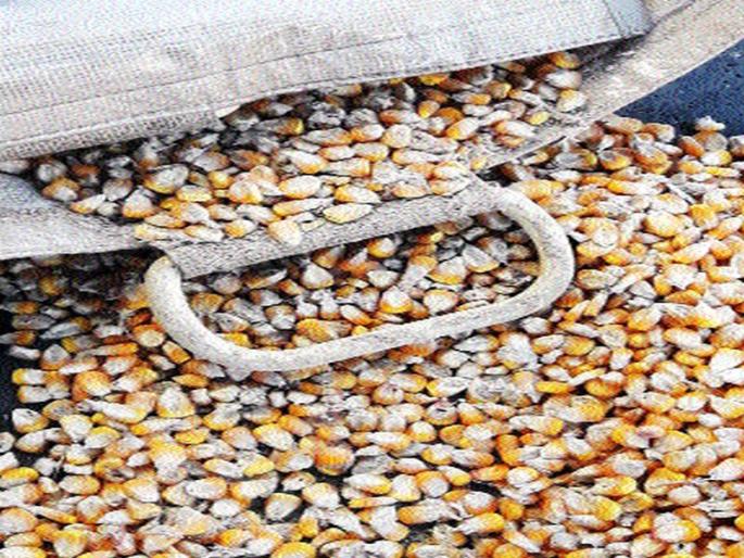 Question of government warehouse in the district: In the purchase crisis on the anvil, there is no fund for four years | जिल्ह्यातील शासकीय गुदामांचा प्रश्न ऐरणीवर खरेदी अडचणीत : चार वर्षांपासून निधी नाही