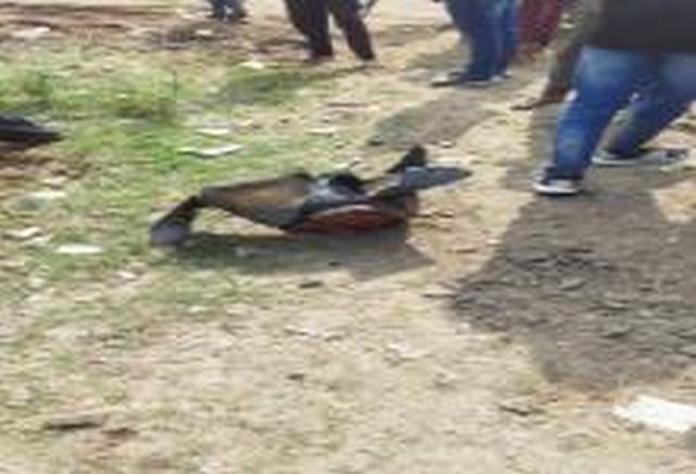 Gas leak in Manenagar and cylinder explodes | मानेनगरला गॅस गळती होऊन सिलिंडरचा भीषण स्फोट Gas leak in Manenagar and cylinder explodes | मानेनगरला गॅस गळती होऊन सिलिंडरचा भीषण स्फोट