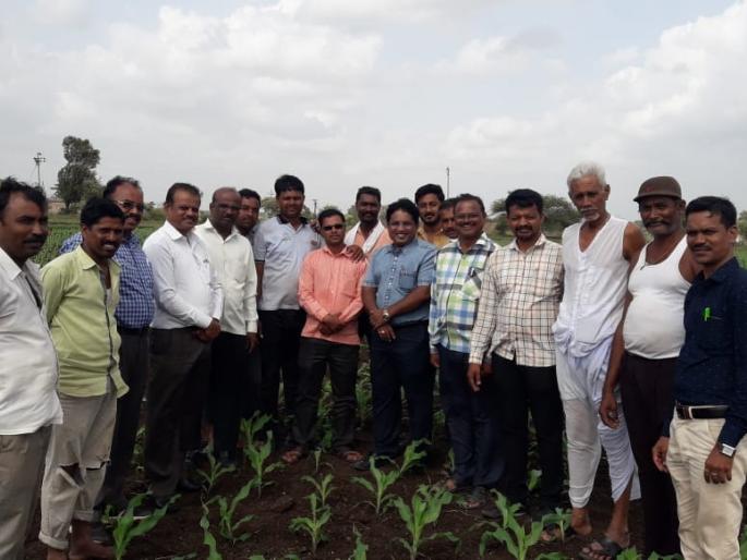 Agriculture Department visits to farmers affected by militancy | लष्करी अळीचा प्रादुर्भाव झालेल्या शेतकऱ्यांकडे कृषी विभागाची भेटी