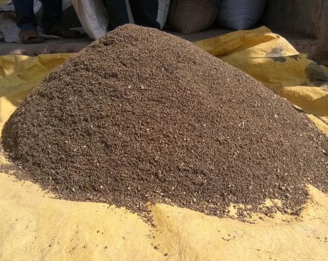 There was a huge drop in the price of herbs | औषधी वनस्पतींच्या किमतीत झाली मोठी घट There was a huge drop in the price of herbs | औषधी वनस्पतींच्या किमतीत झाली मोठी घट