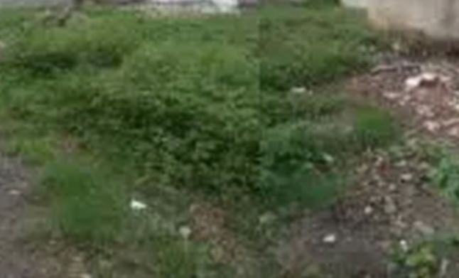 Type of facilities in Mahalaxmi Nagar | महालक्ष्मी नगरमध्ये सुविधांचा वाणवा Type of facilities in Mahalaxmi Nagar | महालक्ष्मी नगरमध्ये सुविधांचा वाणवा