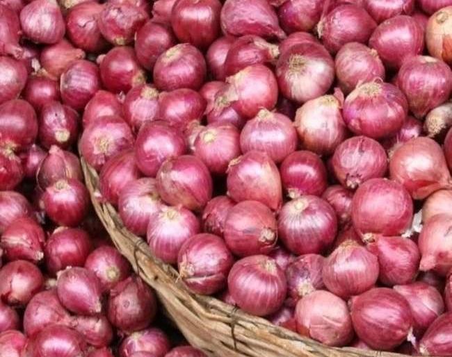 Summer onion arrivals declined | उन्हाळ कांद्याची आवक घटली Summer onion arrivals declined | उन्हाळ कांद्याची आवक घटली