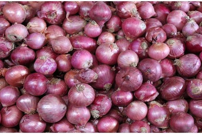  Demand for cancellation of storage limit, including lifting of onion export ban | कांदा निर्यातबंदी उठविण्यासह साठवणूक मर्यादा रद्दची मागणी