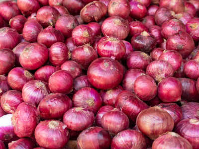 New red onion price hike by Rs 800 in a single day | नवीन लाल कांद्याच्या दरात एकाच दिवसात ८०० रुपयांनी वाढ New red onion price hike by Rs 800 in a single day | नवीन लाल कांद्याच्या दरात एकाच दिवसात ८०० रुपयांनी वाढ