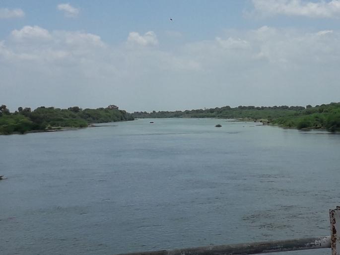 Parbhani: 'Jaikwadi' filled with increased hopes | परभणी : ‘जायकवाडी’ भरल्याने वाढल्या आशा Parbhani: 'Jaikwadi' filled with increased hopes | परभणी : ‘जायकवाडी’ भरल्याने वाढल्या आशा