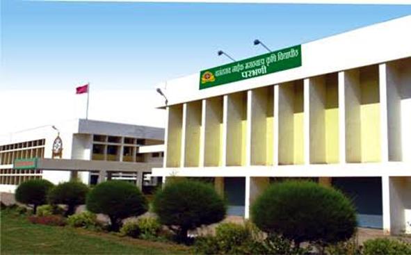 Parbhani: Hiring a contractor for work | परभणी : सोयीच्या कंत्राटदाराला कामाची खिरापत Parbhani: Hiring a contractor for work | परभणी : सोयीच्या कंत्राटदाराला कामाची खिरापत