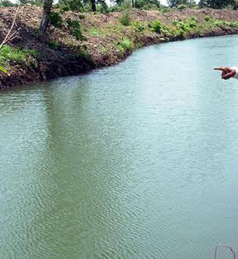 Parbhani: On the way to the watery Shivar | परभणी : जलयुक्त शिवार बंद पडण्याच्या मार्गावर