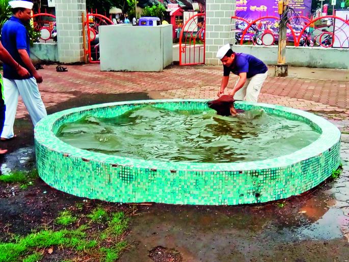 Livelihood of water calf in Ratnagiri | रत्नागिरीत पाण्यातील वासराला जीवदान Livelihood of water calf in Ratnagiri | रत्नागिरीत पाण्यातील वासराला जीवदान